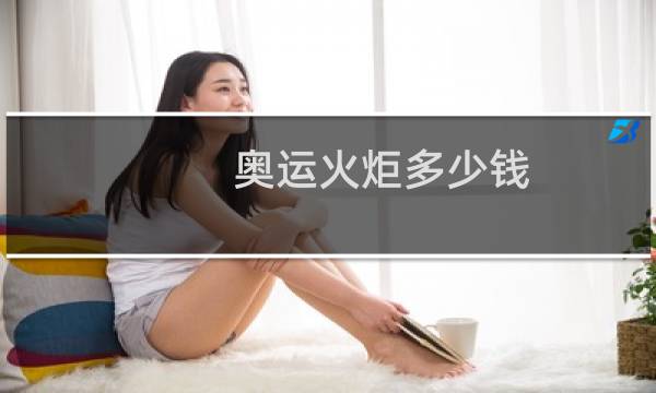 奥运火炬多少钱图片