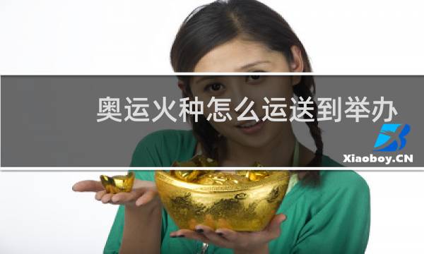 奥运火种怎么运送到举办国图片