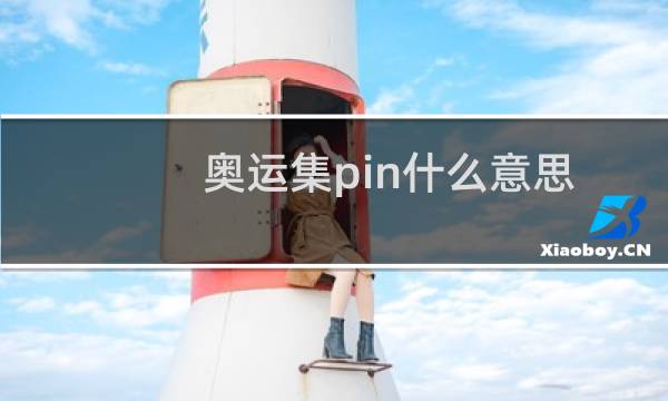 奥运集pin什么意思图片