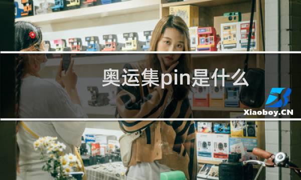 奥运集pin是什么图片