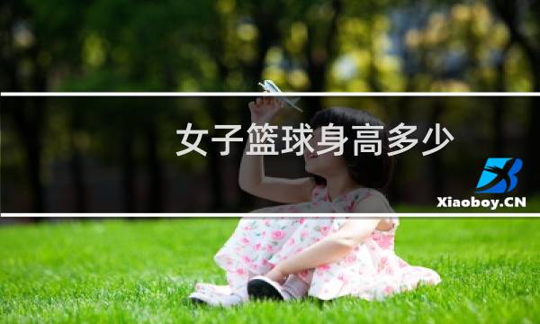 女子篮球身高多少图片