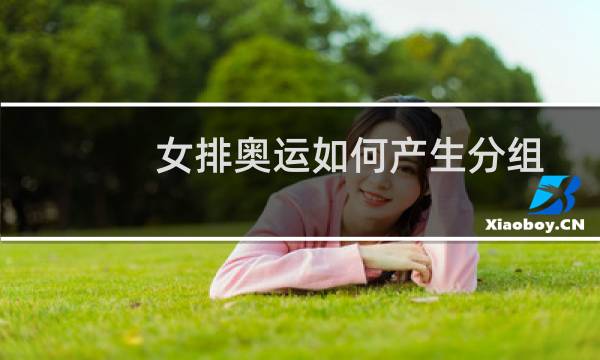 女排奥运如何产生分组图片