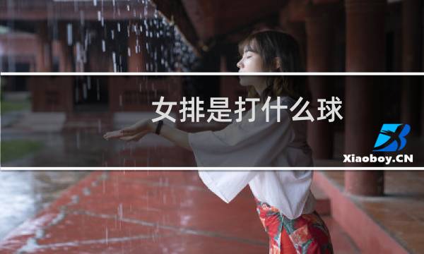 女排是打什么球图片