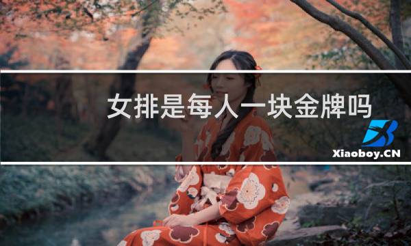 女排是每人一块金牌吗图片