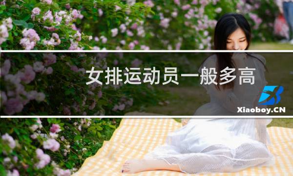 女排运动员一般多高图片