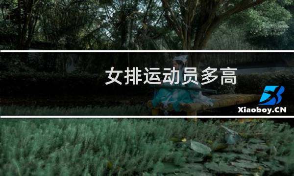 女排运动员多高图片