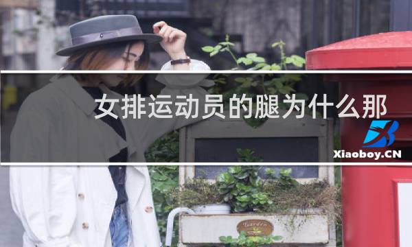 女排运动员的腿为什么那么直图片