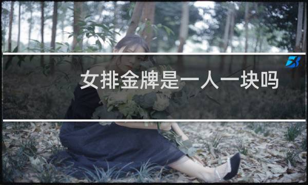 女排金牌是一人一块吗图片