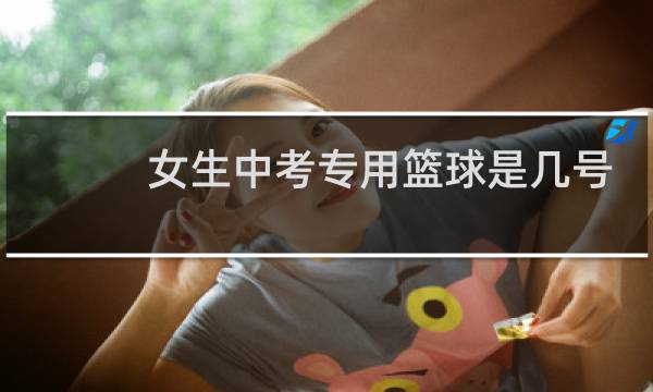 女生中考专用篮球是几号球图片