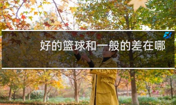 好的篮球和一般的差在哪图片