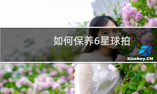 如何保养6星球拍图片