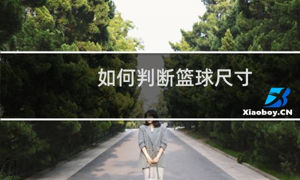 如何判断篮球尺寸图片