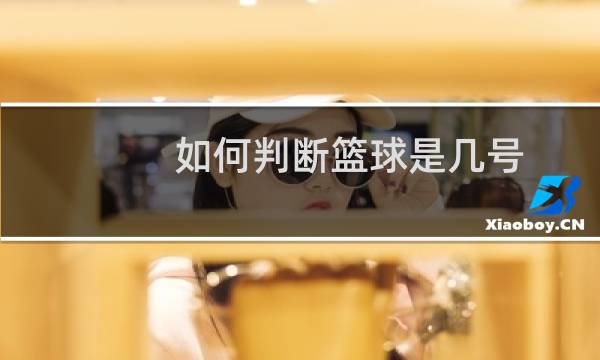 如何判断篮球是几号图片