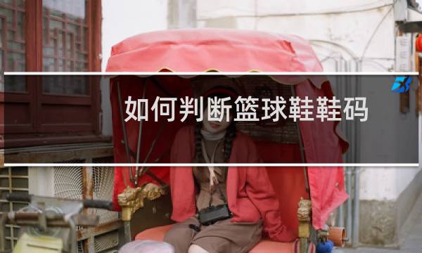 如何判断篮球鞋鞋码图片