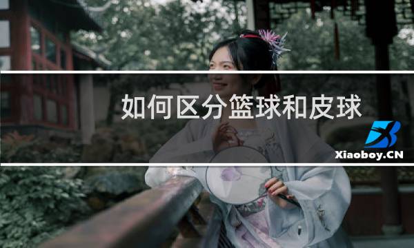 如何区分篮球和皮球图片