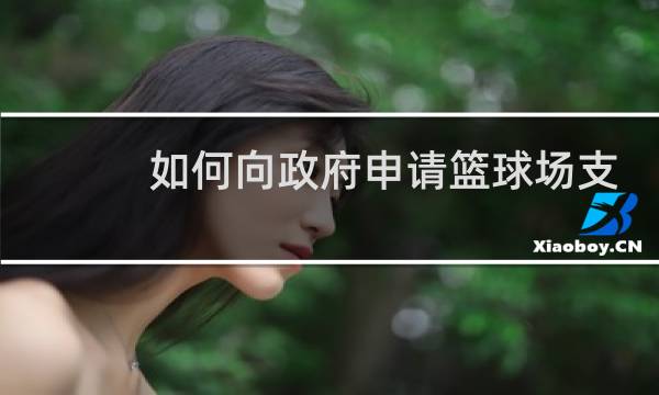 如何向政府申请篮球场支持图片