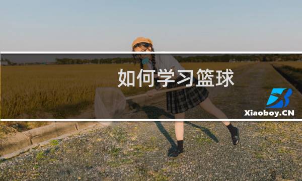 如何学习篮球图片