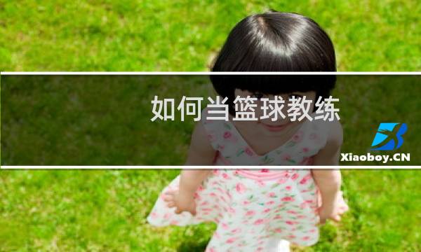如何当篮球教练图片