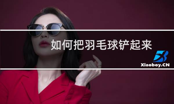 如何把羽毛球铲起来图片