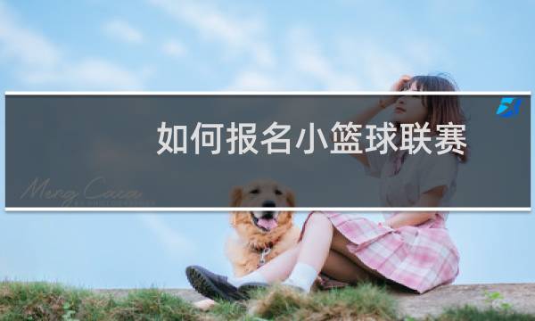 如何报名小篮球联赛图片