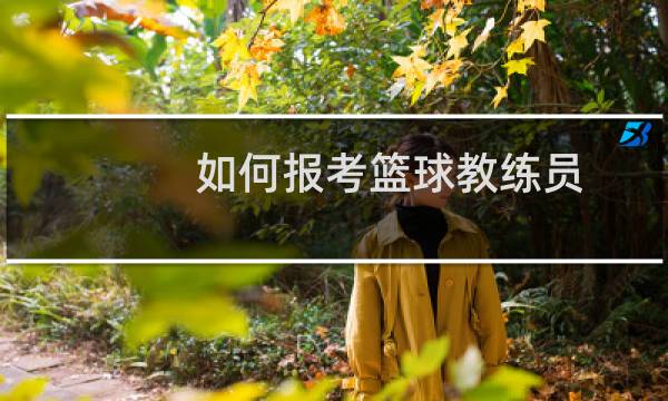 如何报考篮球教练员图片