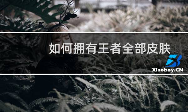 如何拥有王者全部皮肤图片