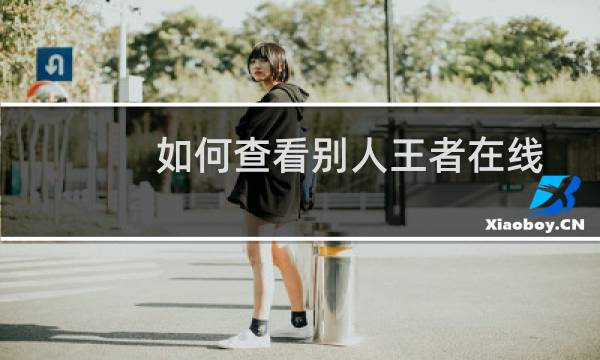 如何查看别人王者在线图片