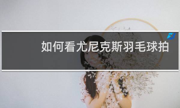如何看尤尼克斯羽毛球拍型号图片