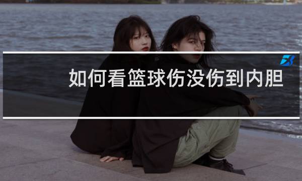 如何看篮球伤没伤到内胆图片