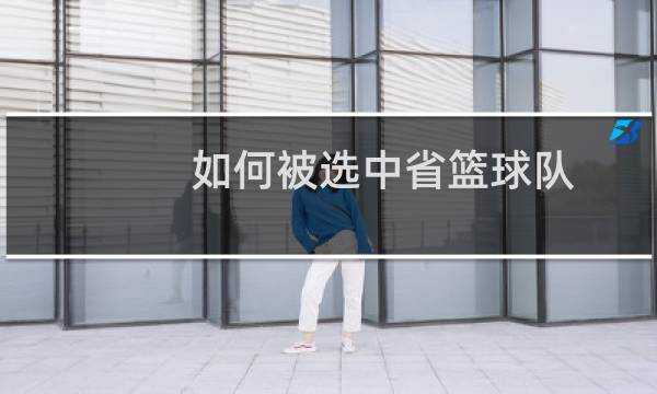 如何被选中省篮球队图片