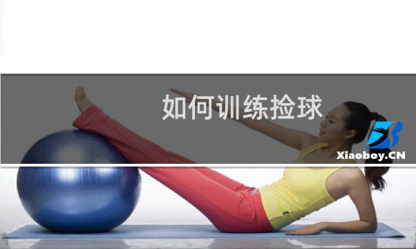 如何训练捡球图片