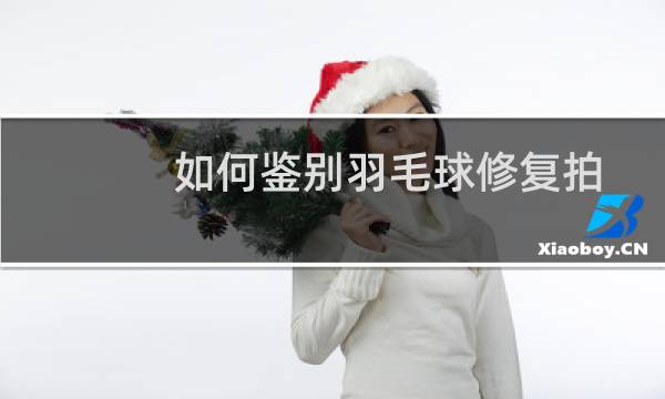 如何鉴别羽毛球修复拍图片