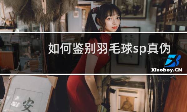如何鉴别羽毛球sp真伪图片