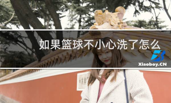如果篮球不小心洗了怎么办图片