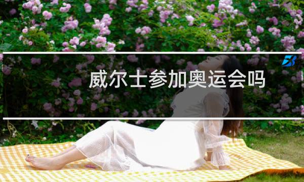 威尔士参加奥运会吗图片