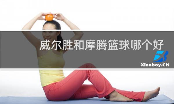 威尔胜和摩腾篮球哪个好图片