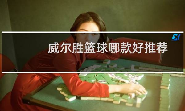 威尔胜篮球哪款好推荐图片