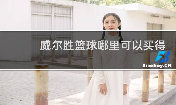 威尔胜篮球哪里可以买得到图片