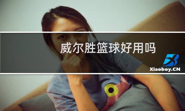 威尔胜篮球好用吗图片