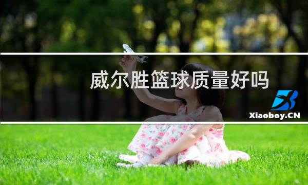 威尔胜篮球质量好吗图片