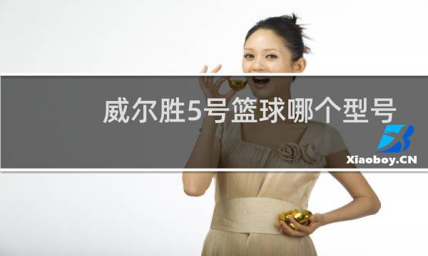 威尔胜5号篮球哪个型号好用图片