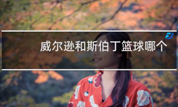 威尔逊和斯伯丁篮球哪个好图片