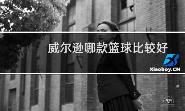 威尔逊哪款篮球比较好图片