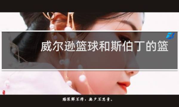 威尔逊篮球和斯伯丁的篮球哪个好图片