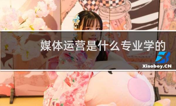 媒体运营是什么专业学的图片