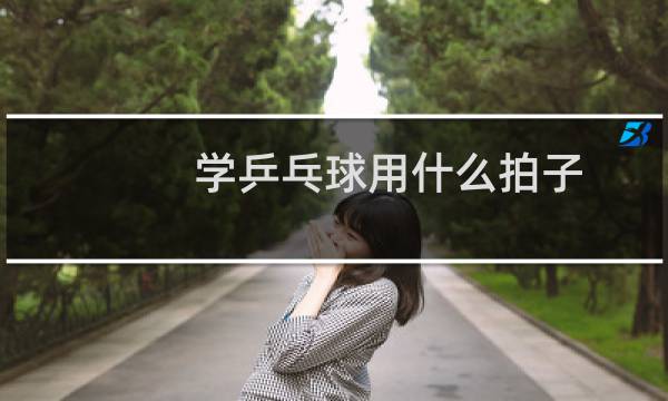 学乒乓球用什么拍子图片