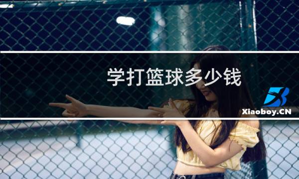 学打篮球多少钱图片