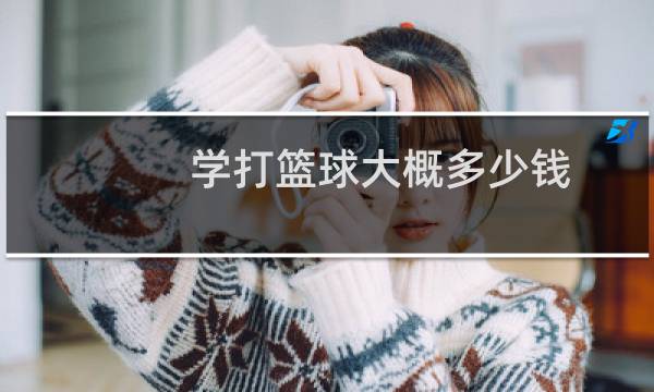 学打篮球大概多少钱图片