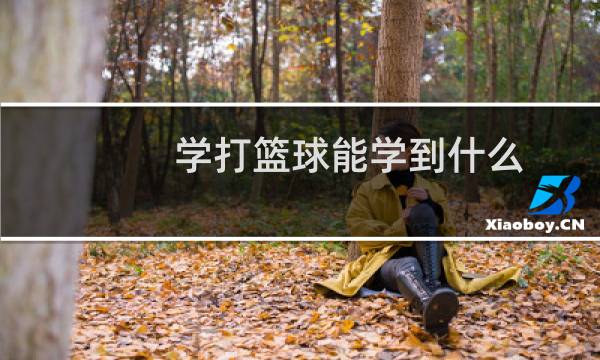 学打篮球能学到什么图片