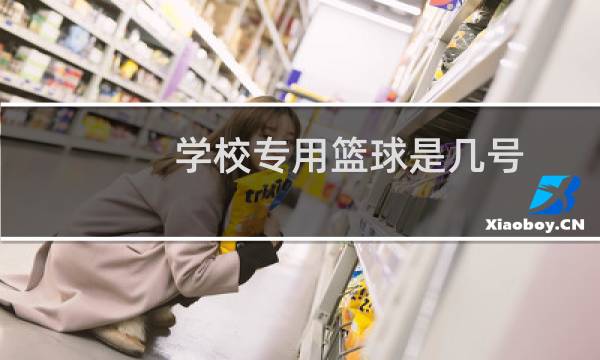 学校专用篮球是几号图片